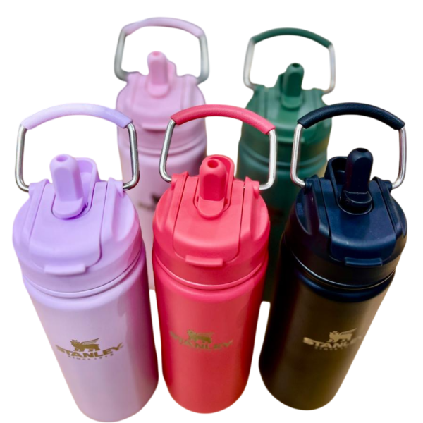 Botellas Térmicas Acero Inoxidable "STANLEY 600 ML" Doble Sistema y Doble capa - Imagen 2
