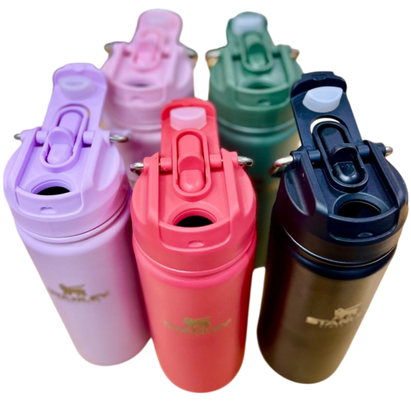 Botellas Térmicas Acero Inoxidable "STANLEY 600 ML" Doble Sistema y Doble capa - Imagen 3