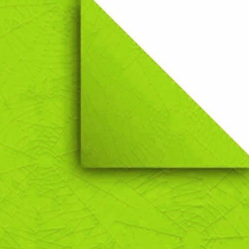 Papeles de Forrar " Araña " Lisos