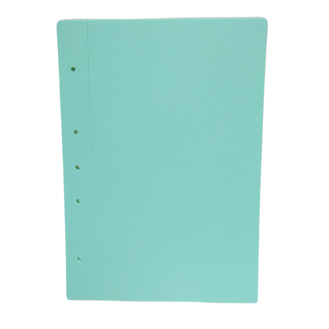 Tapa de Carpeta Universitaria A4 LISAS " ENTELADAS PASTELES"