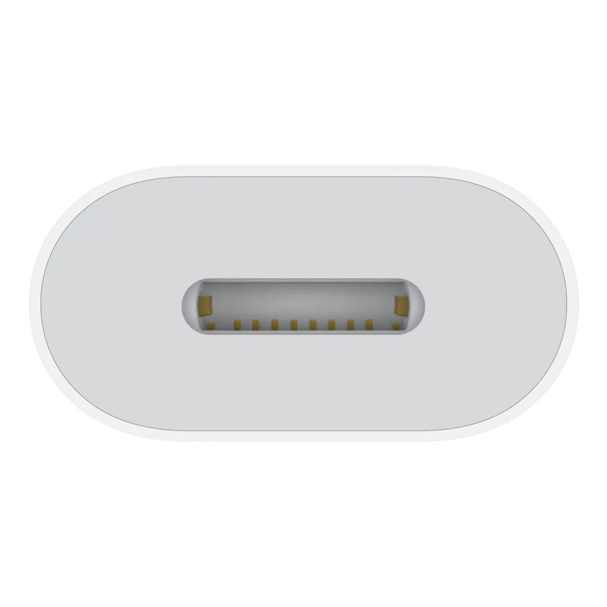 Adaptador OTG Apple IPhone Lightning (hembra) a Usb Tipo C (macho)