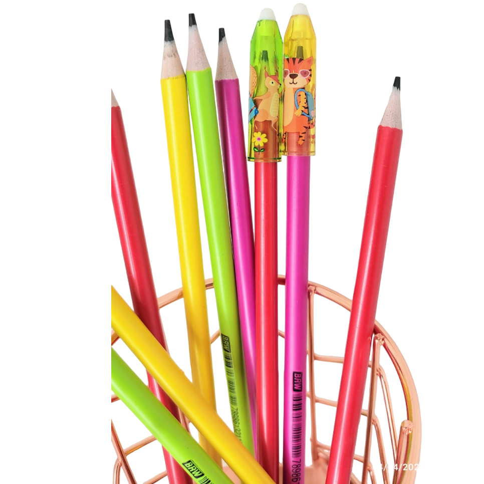 SET 4 CAPUCHONES * ZOO * PARA LAPIZ O LAPICERA