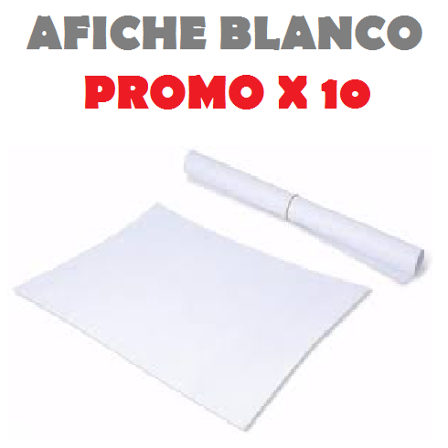.||OFERTA EFECTIVO / TRANSFERENCIA|| PROMO PAPEL AFICHE * BLANCO ECONOMICO * x 10 unidades