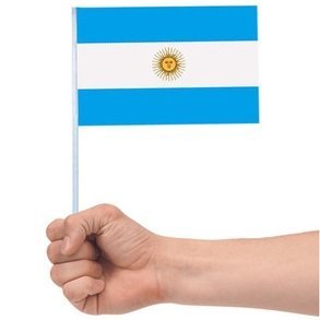 Banderitas de Argentina de Plastico Medidas 15 x 21 cm (N° 3) - CON SOL -