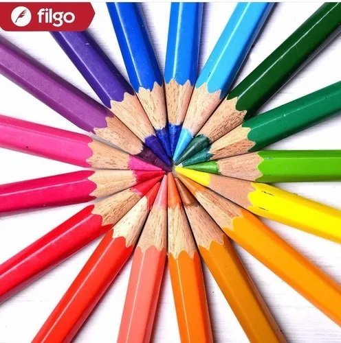 Lapices  de colores - Filgo x 24 - Largos Pinto