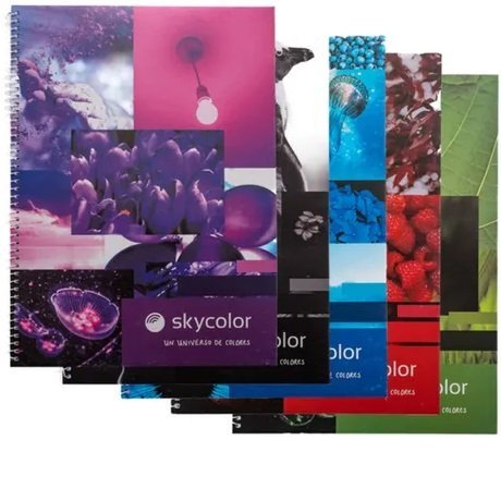 CUADERNILLO * ONIX / ASAMBLEA * CUADRICULADO C/ ESPIRAL FLEXIBLE UNIVERSITARIO A4 80 HOJAS