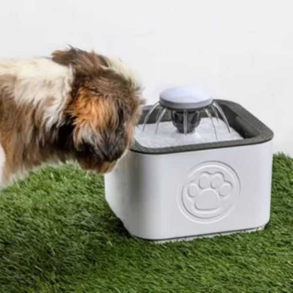 Bebedero Automatico Tipo Fuente c/ Filtro