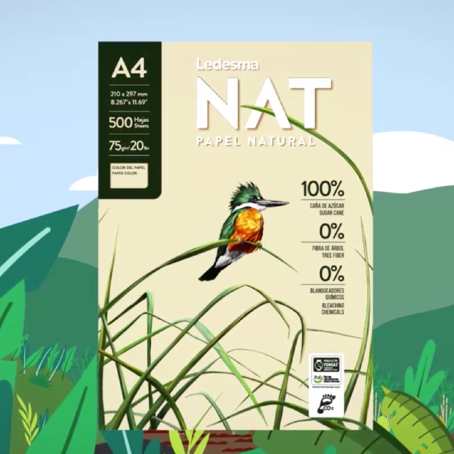 Resma de Papel " LEDESMA NATURAL " A4 75 Gr