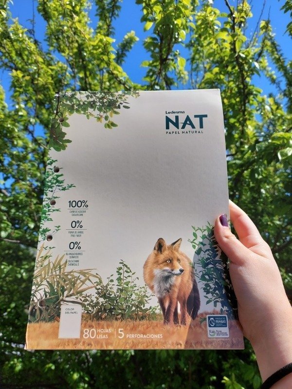 Block Pegado Ledesma "NATURAL" A4 80 Hojas de 75 gr (Exito) Rayado / Cuadriculado / Liso