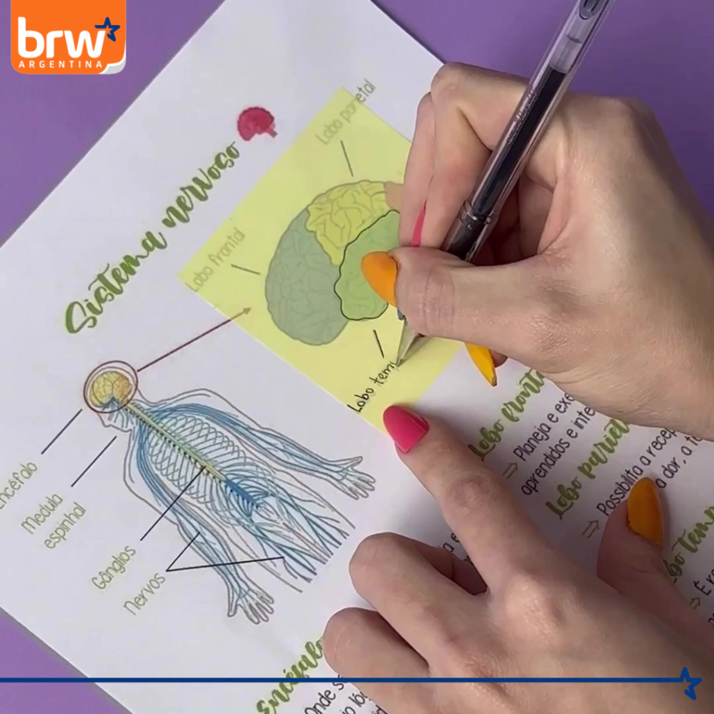 Notas Adhesivas BRW "PASTEL TRANSPARENTES" 75 x 75 - 4 COLORES - (TRANSPARENTES - RESALTADOR)