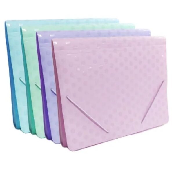 Clasificador AVIOS 13 divisiones TAMAÑO A4 // CELESTE PASTEL //