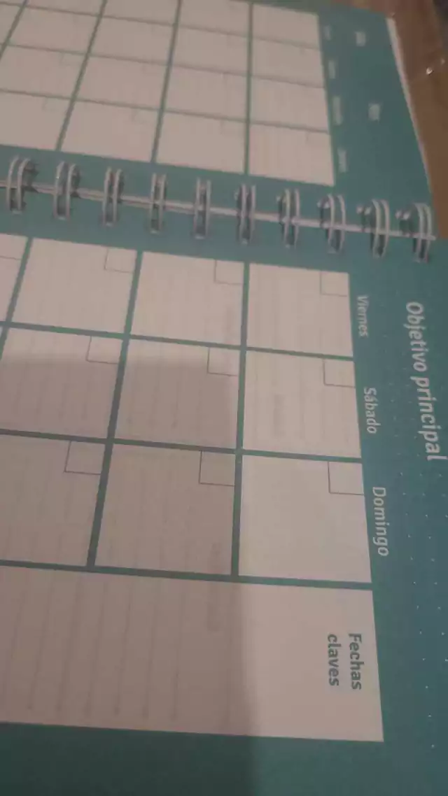 Agendas PPR " HOLOGRAFICA PERPETUA" -Semanal- 15x21 A5 TAMAÑO MEDIANO PREMIUM (SIN FECHA)