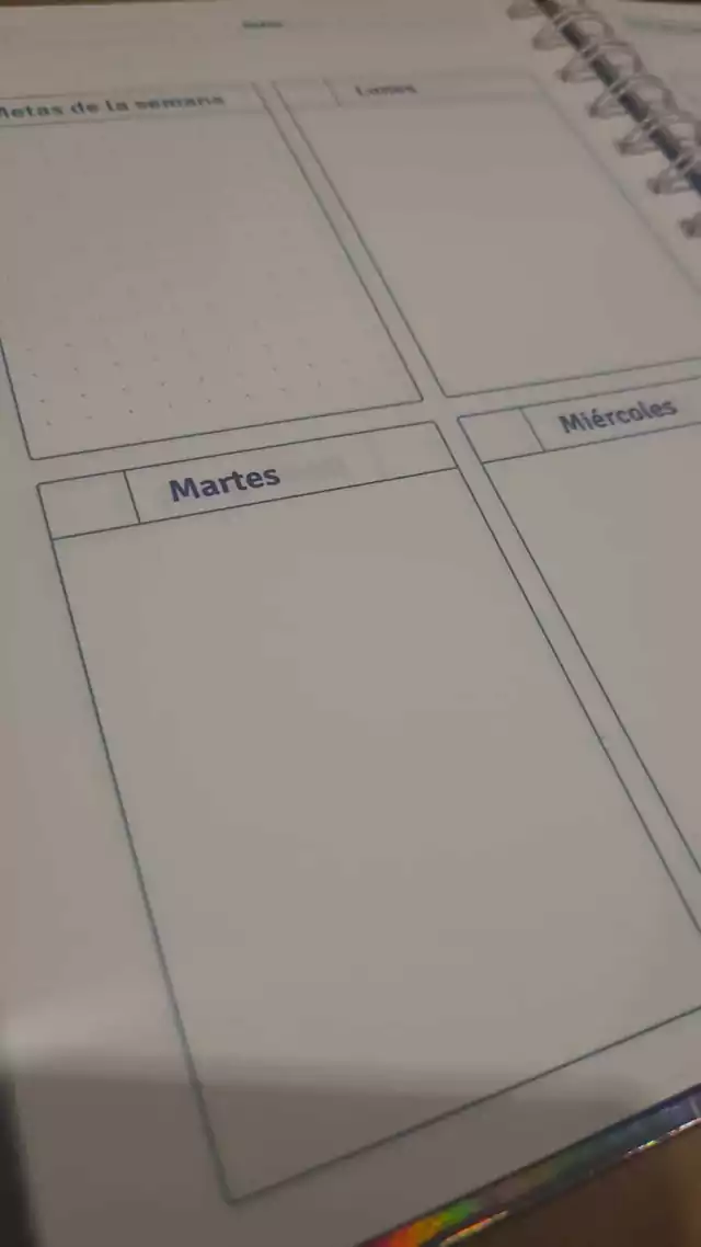 Agendas PPR " HOLOGRAFICA PERPETUA" -Semanal- 15x21 A5 TAMAÑO MEDIANO PREMIUM (SIN FECHA)