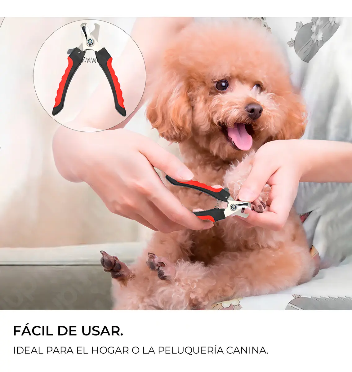 Set Alicate Corta Uñas Y Lima - YUWEI - Para Perros